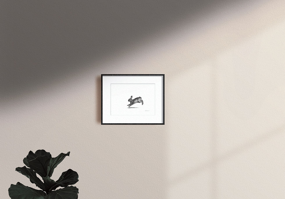 Miniature : Course de lapins - IMPRIMER