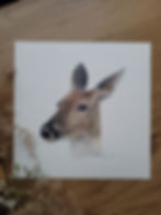 Thumbnail: 15x15cm cards