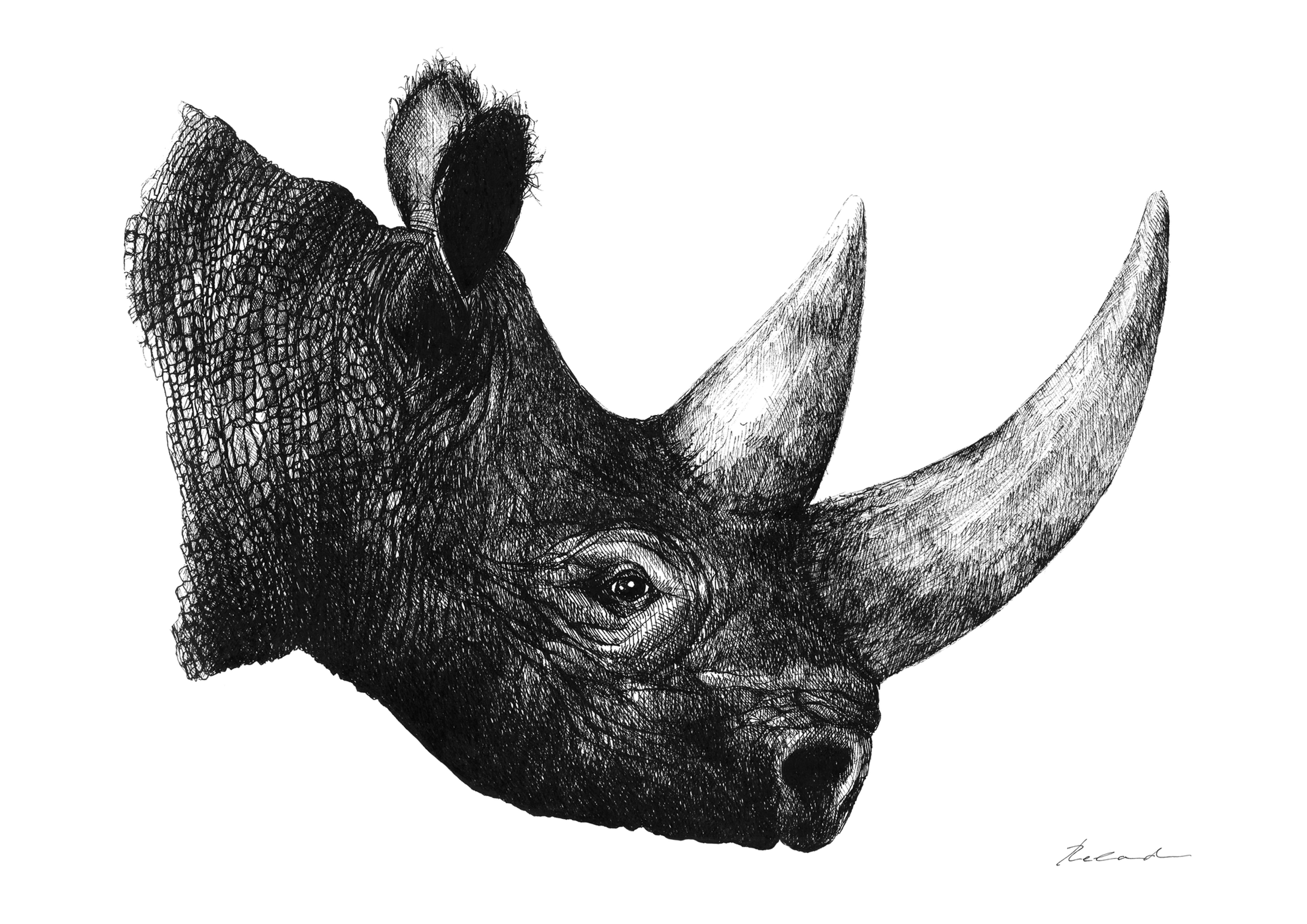Rhino portrait - PRINT