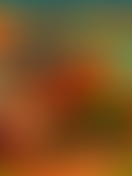 Hare and Tortoise - The Big Race