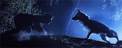 source.gif