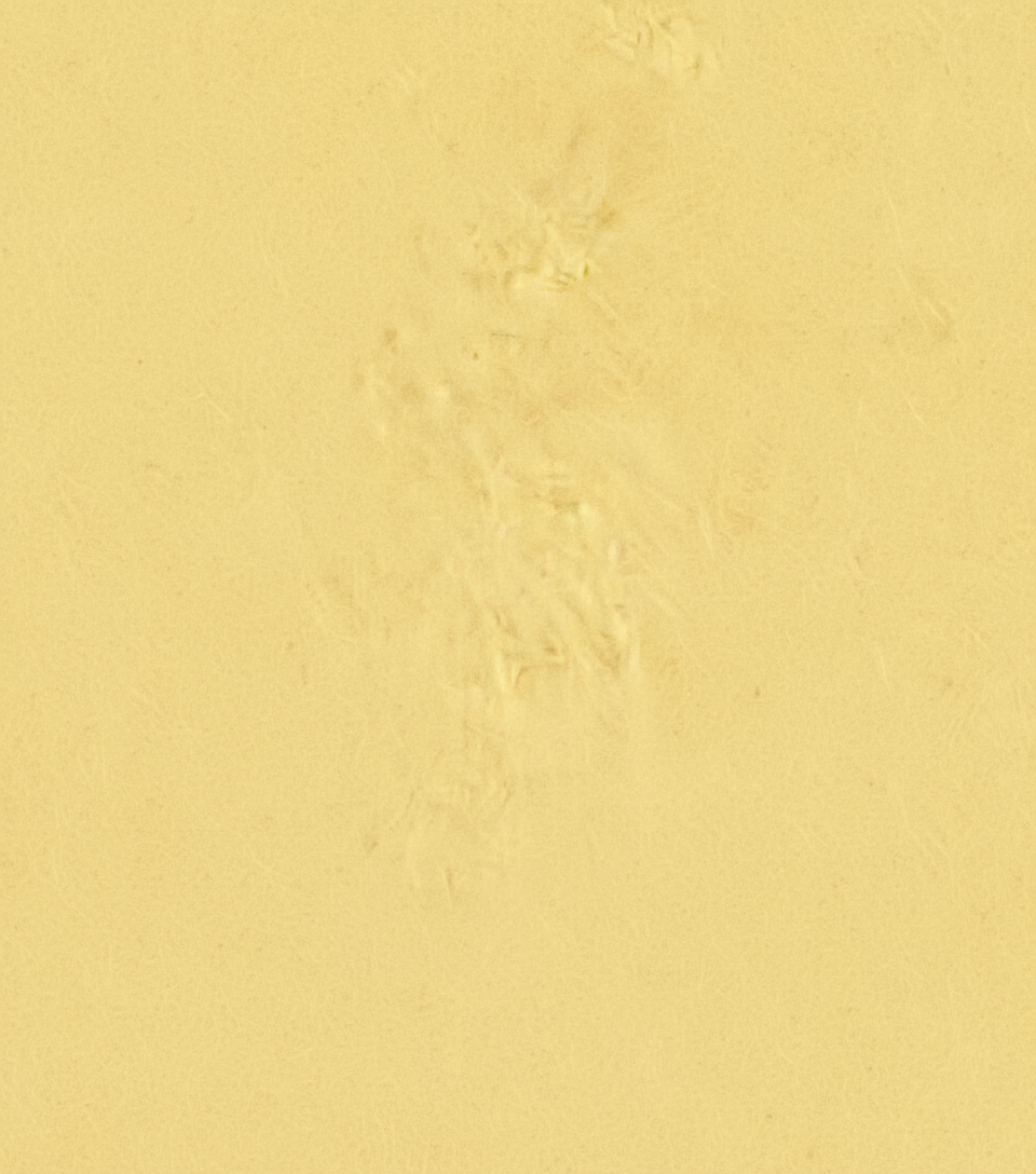 generated-image (1).png