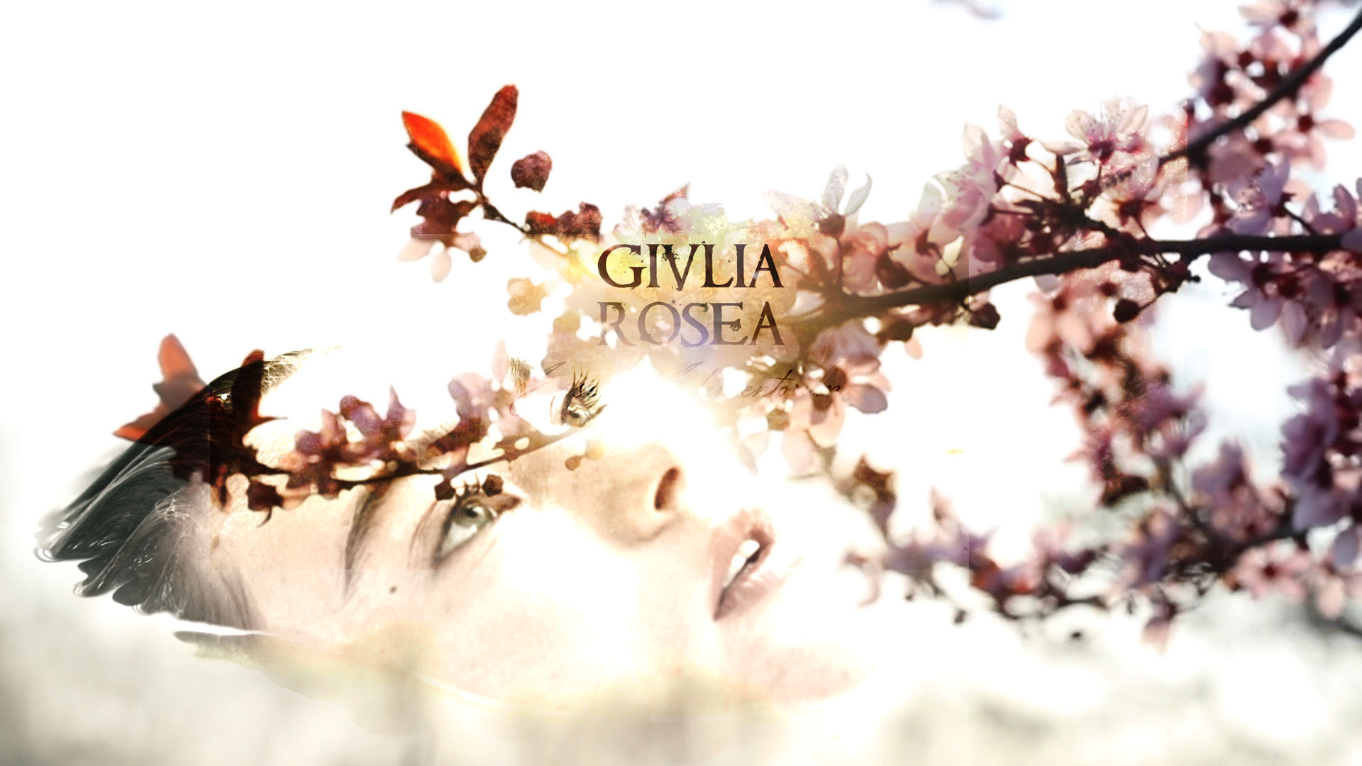 FORMULACIONES ENCARNA