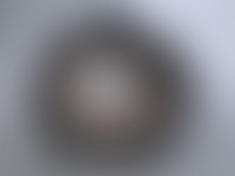 Rebecca Arday "Eyelashes and Oracles" 