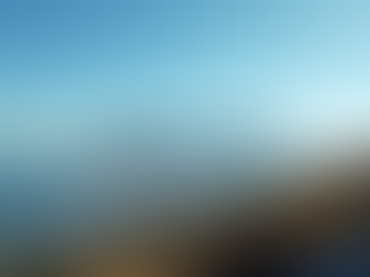 Discover Cape Peninsula: Top Tours and Activities