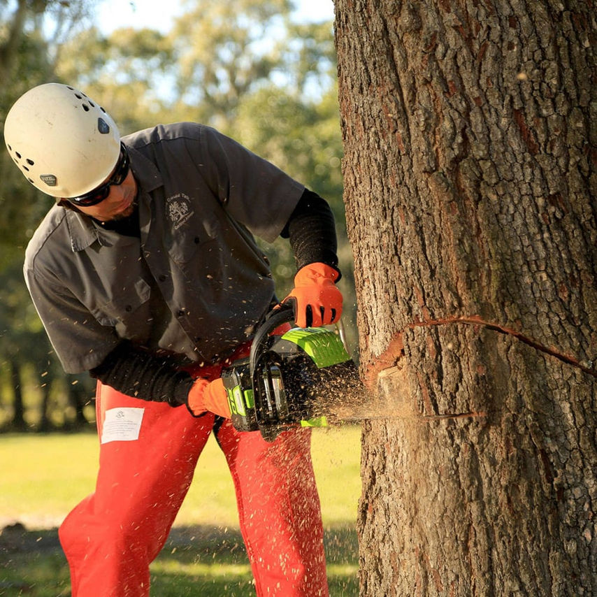 GW Live Action Photos