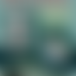 Michel Marcel Navratil – Jetimi i Titanikut që jetoi për të treguar historinë