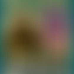 At Gjergj Fishta — Portret i plotë me veprat, rolin dhe mendimet