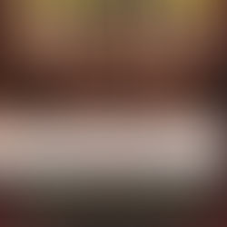 22 Nëntori – Dita e Alfabetit dhe lindja e gjuhës sonë të bashkuar.