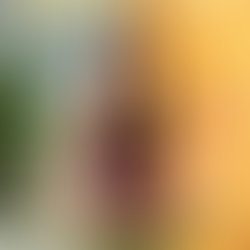 Salma Hayek aktore, producente mbetet një shpurt i rralle në Kulturën Bashkëkohore