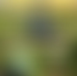 Italia, Inteligjenca Artificiale dhe Revolucioni i Bujqësisë