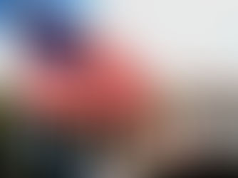 Historia e flamurit amerikan.
