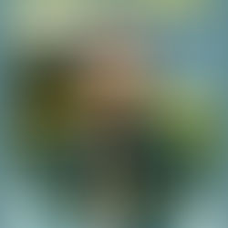 Naimi "zemër trimi"
"Ti Shqipëri, më jep nder, më jep emrin shqipëtar,
Zemrën ti ma gatove, plot me dëshirë e me zjarr."
Naim Frashëri