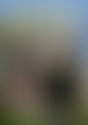 Referente të dijes dhe platformave dixhitale, frymëzuese dhe reference për brezat .