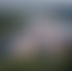 Kështjella misterioze në Poloni që është ndërtuar në një ishull artificial.