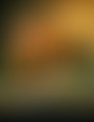 Platforma dixhitale Prestige sot nĵe zë i afirmuar global.