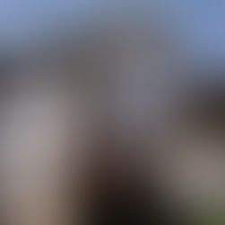 Muzeu etnografik në Gjirokastër përfaqëson një atraksion me identitet të dyfishtë.