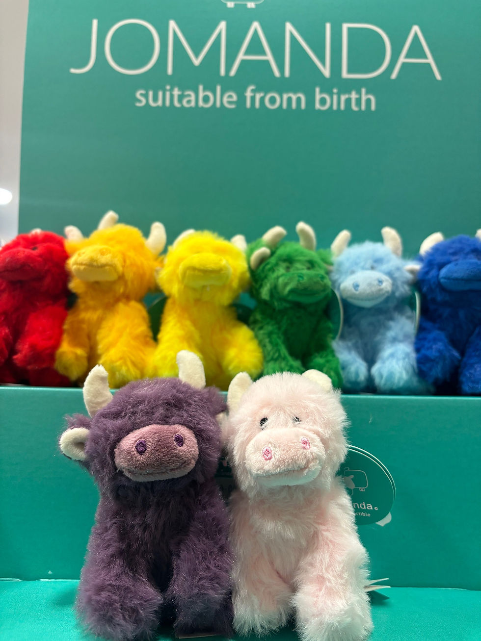 Thumbnail: COOllectibles Mini Highland Coos