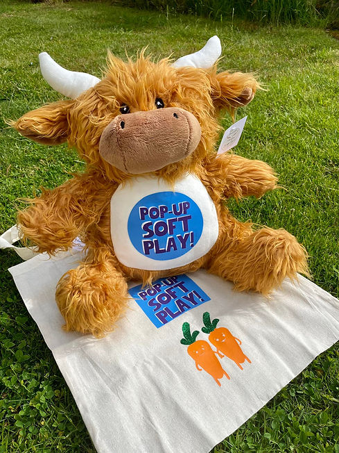 coo soft play.jpg