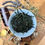 Miniatura: Needle Oolong