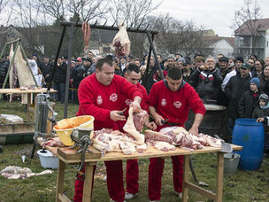 Sremski svinjekol in klobasicijada
