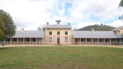 Willow Court - Memory To Action