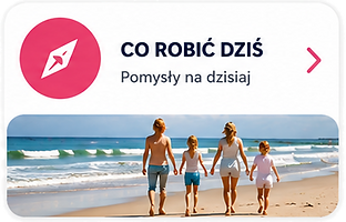 co robic.png