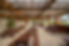 Saintremy (734)-HDR.jpg