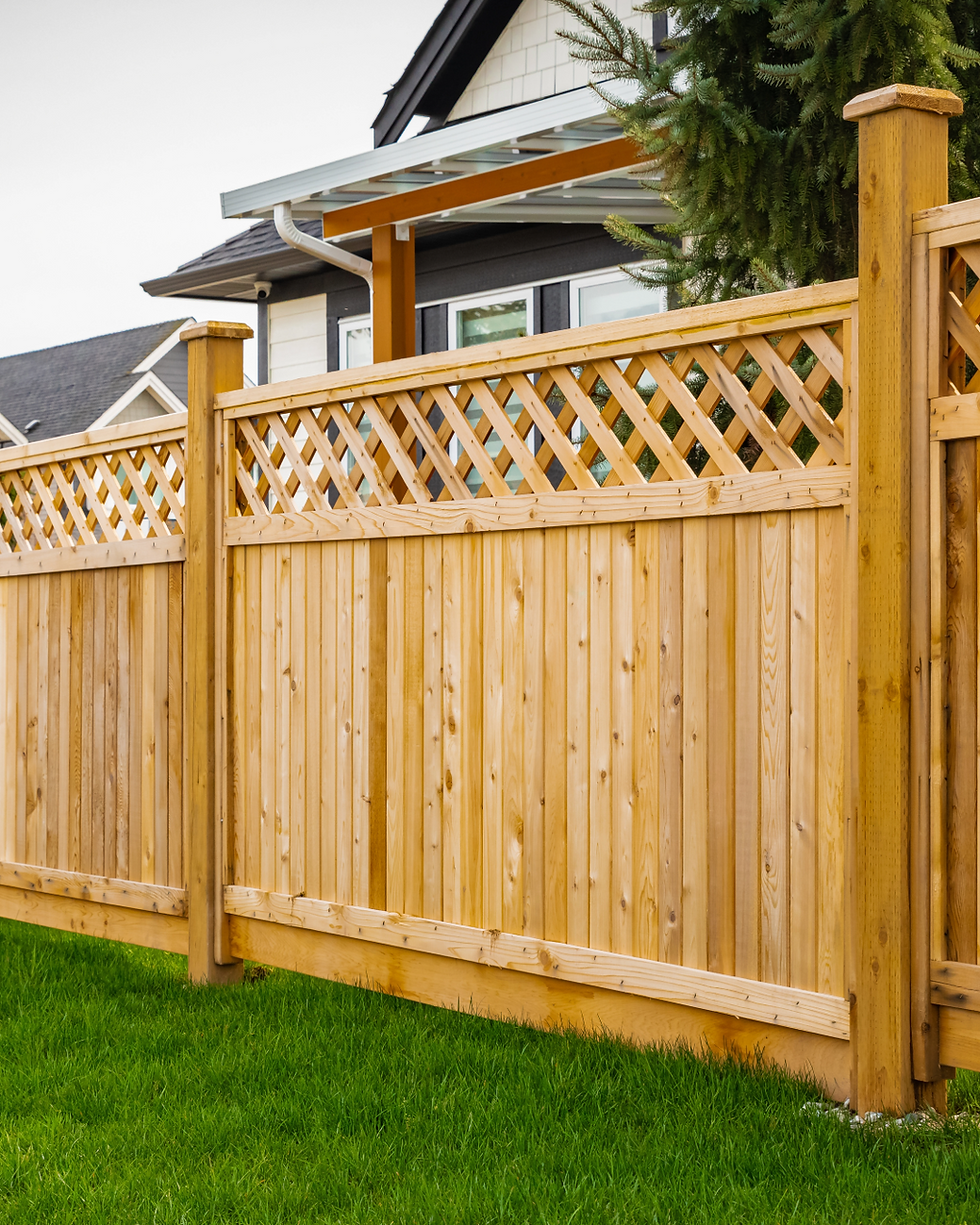 Logo High Quality-2 (4).png