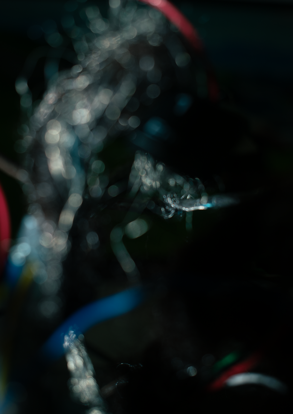 DSC_0190.png