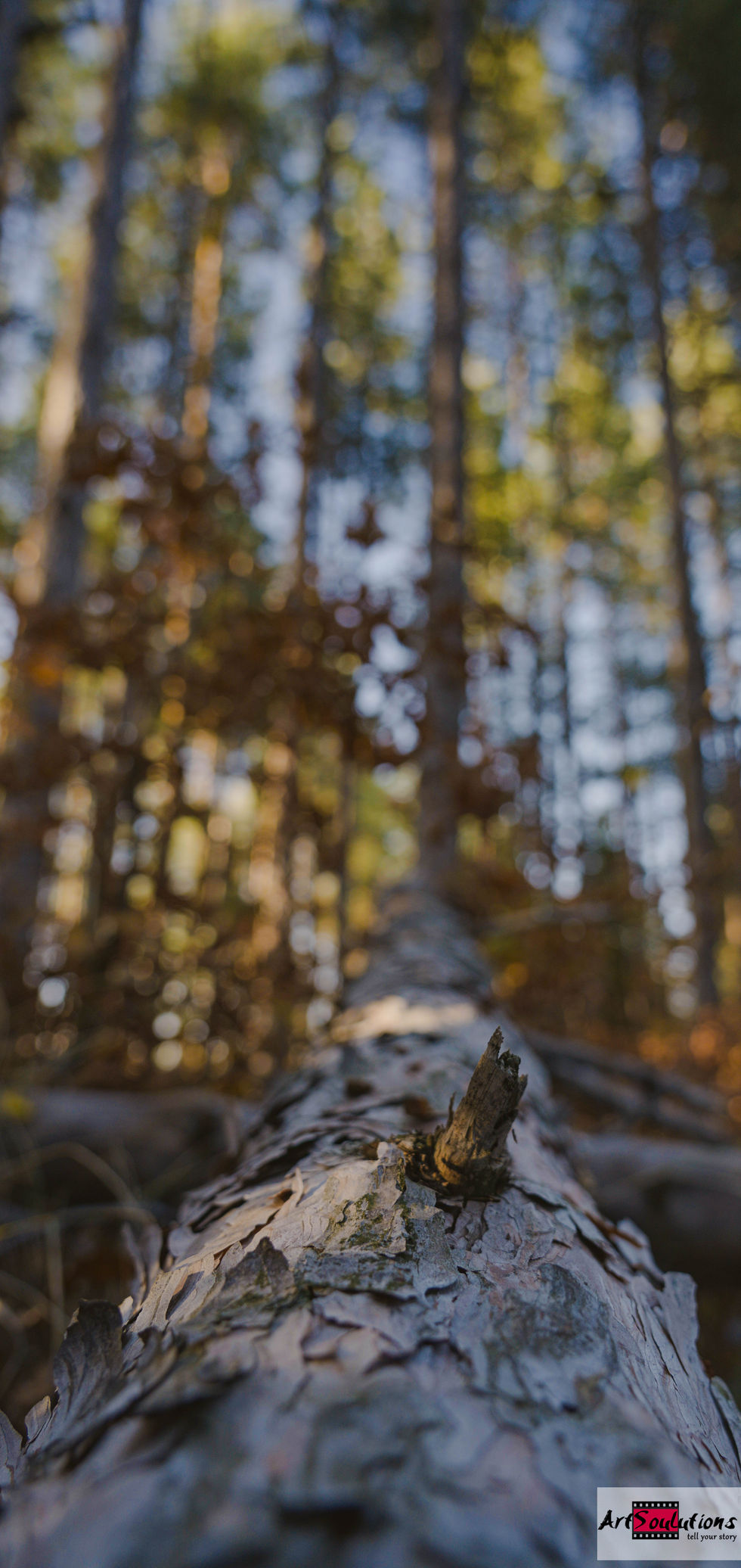 01_01 (10 of 123)