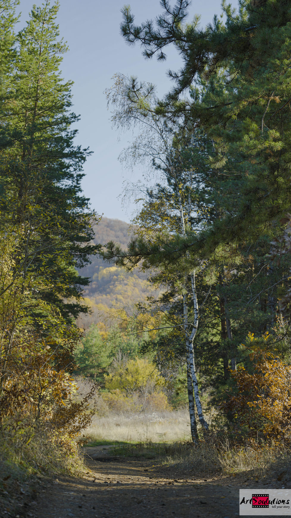 01_01 (8 of 123)