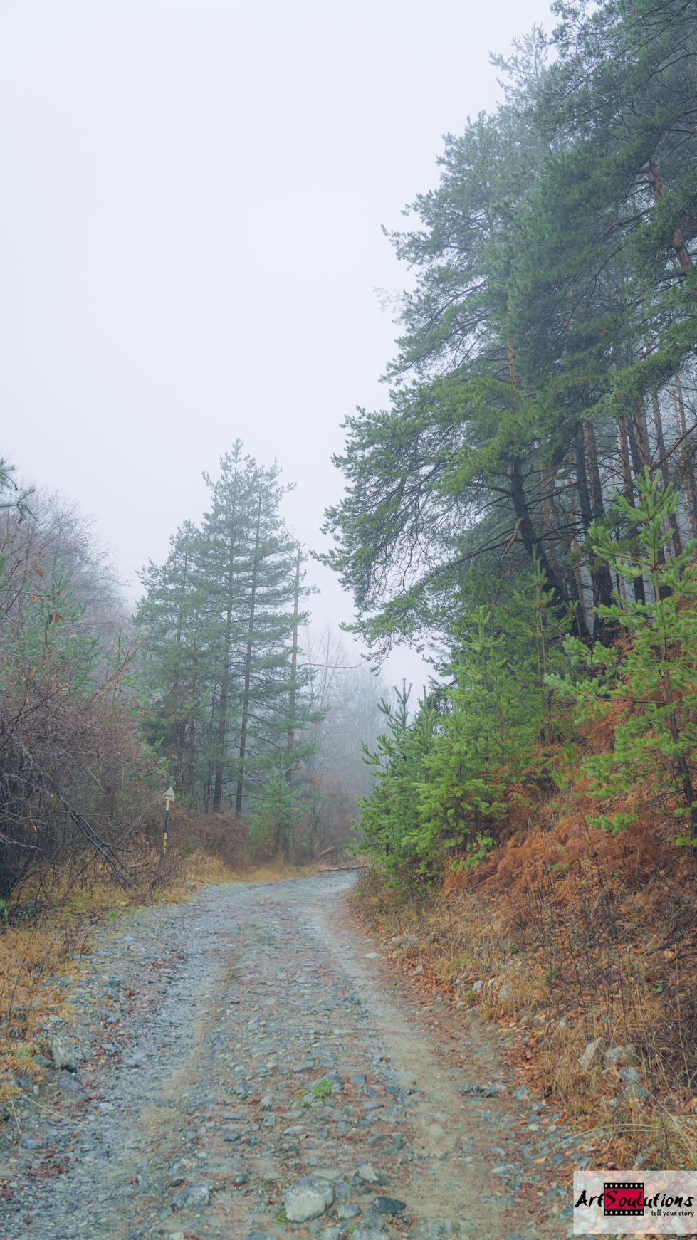 01_01 (52 of 123)