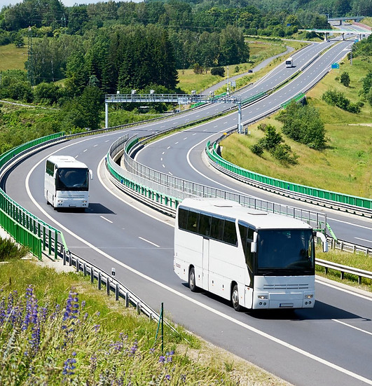 Transbrasil  Viação Nobre  Gran Express  Viação Xavante  Rio Novo Transportes  Viação Amar