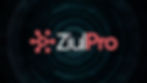 Logo ZiulPro