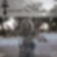IM Website Link.jpg