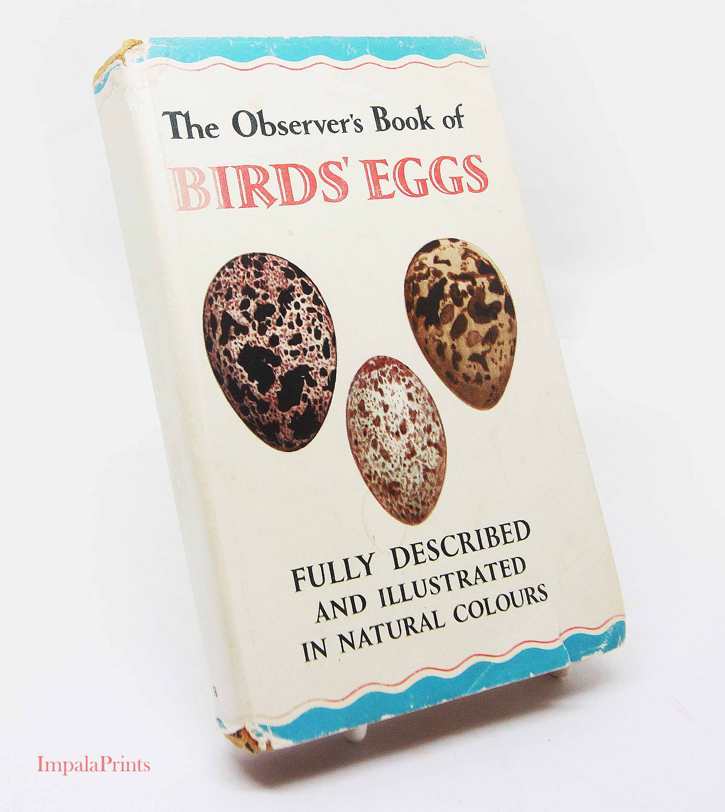 Birds Eggs Guide Book 1960s Vintage Nature Hardback Ornithology Bird book gift H