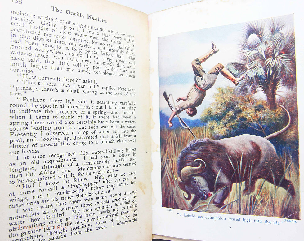 Thumbnail: Antique book The Gorilla Hunters 1907 illustrated books Antique Hardback Vintage