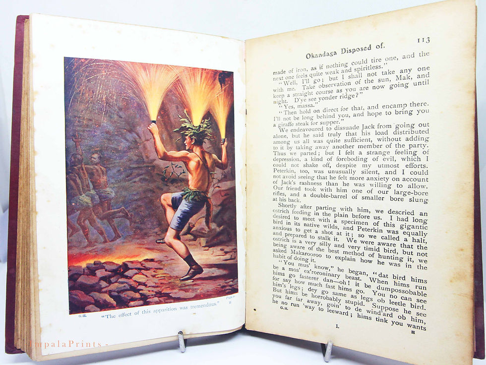 Thumbnail: Antique book The Gorilla Hunters 1907 illustrated books Antique Hardback Vintage