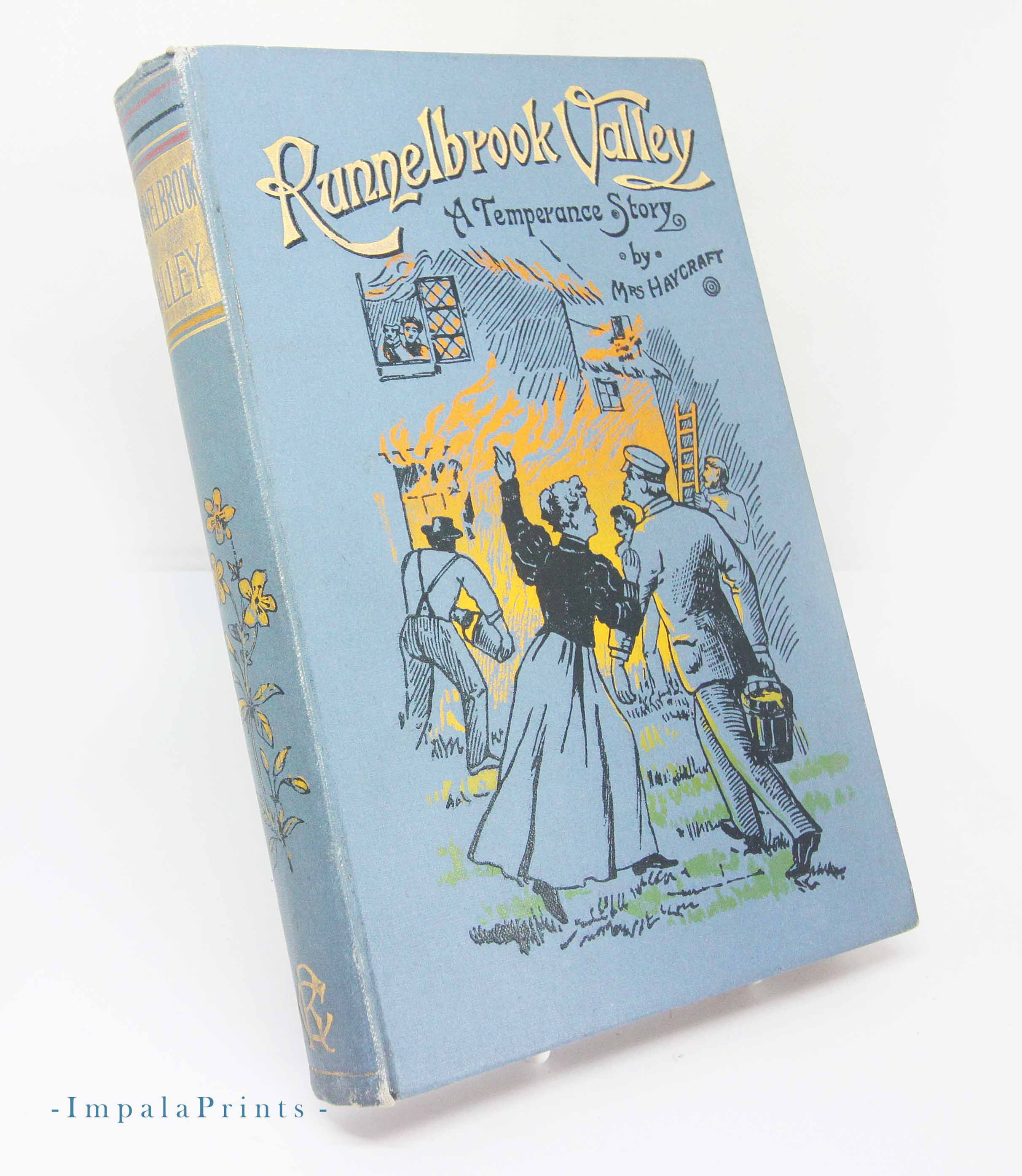 Antique Edwardian Book | Runnelbrook Valley 1916 Hardback | Illustrated Cloth Vi