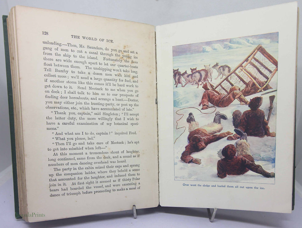 Thumbnail: Adventure in polar lands book Illustrated