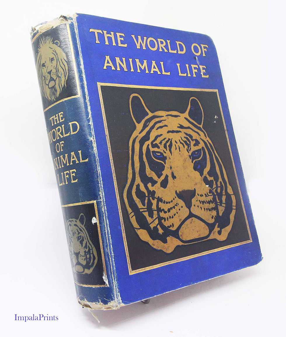 Thumbnail: The World of Animal Life 1902 , Rare Illustrated Natural History Book, Vintage W