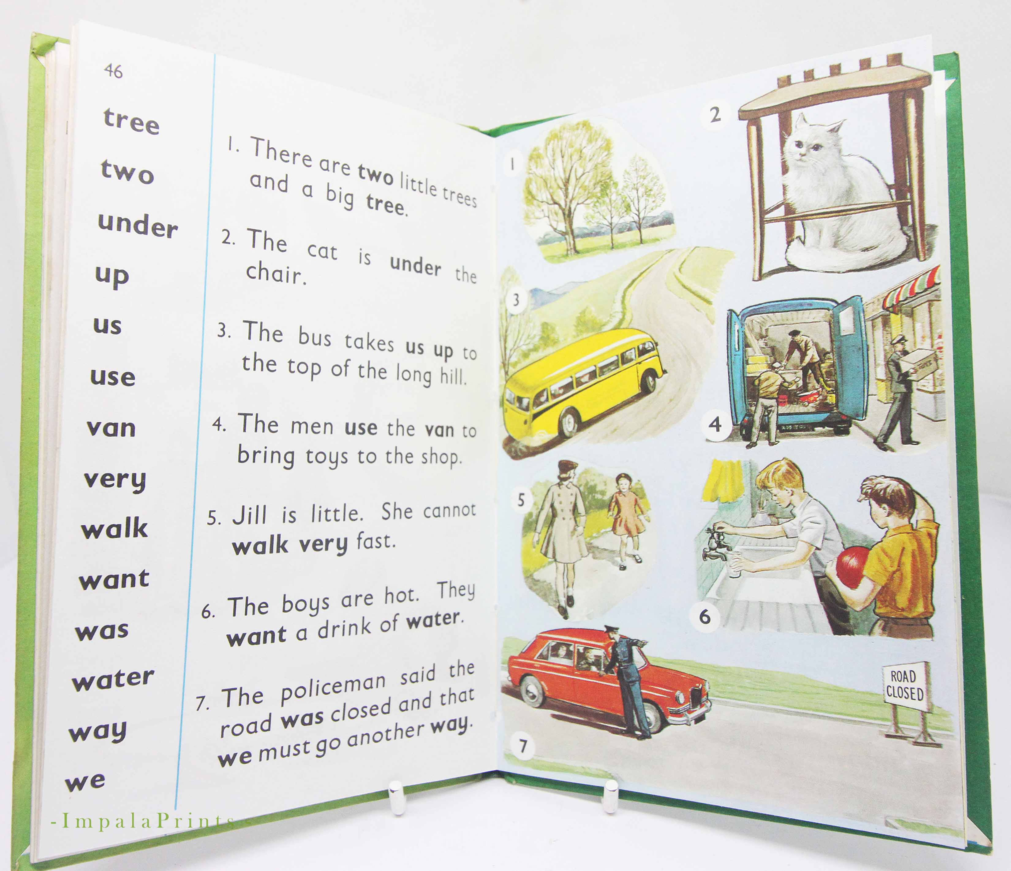 Vintage Green Picture Dictionary for Kids – 1966 Illustrated Early Learning Boo