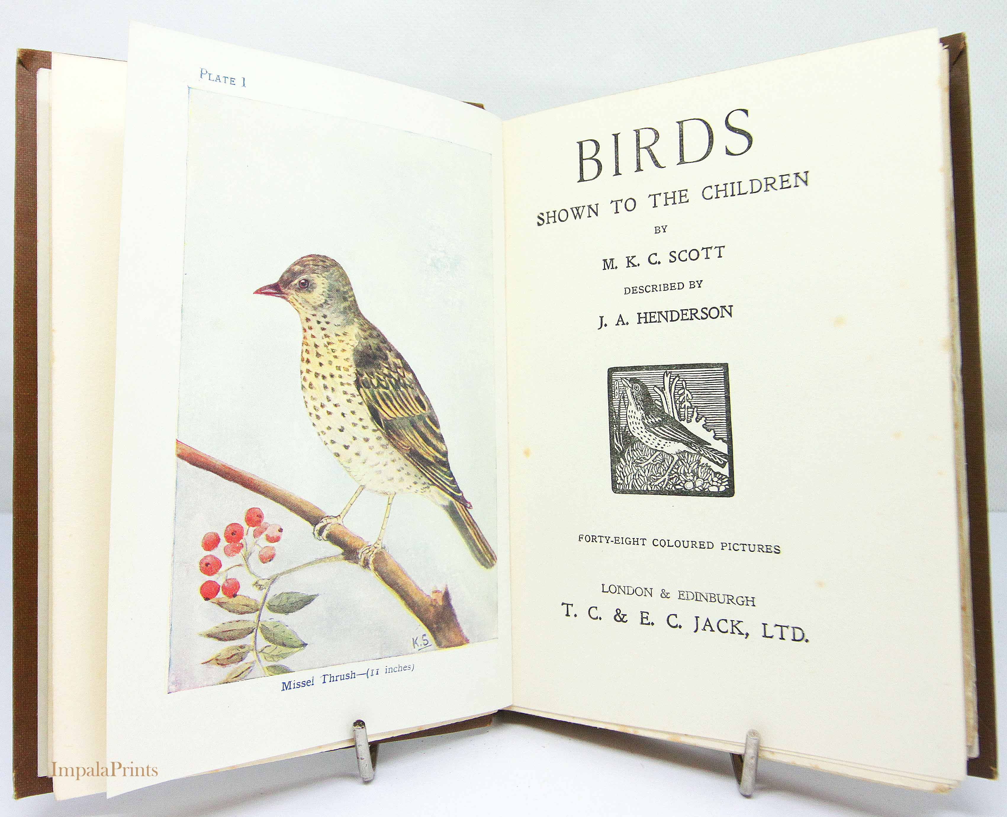 Illustrated Bird book 1920