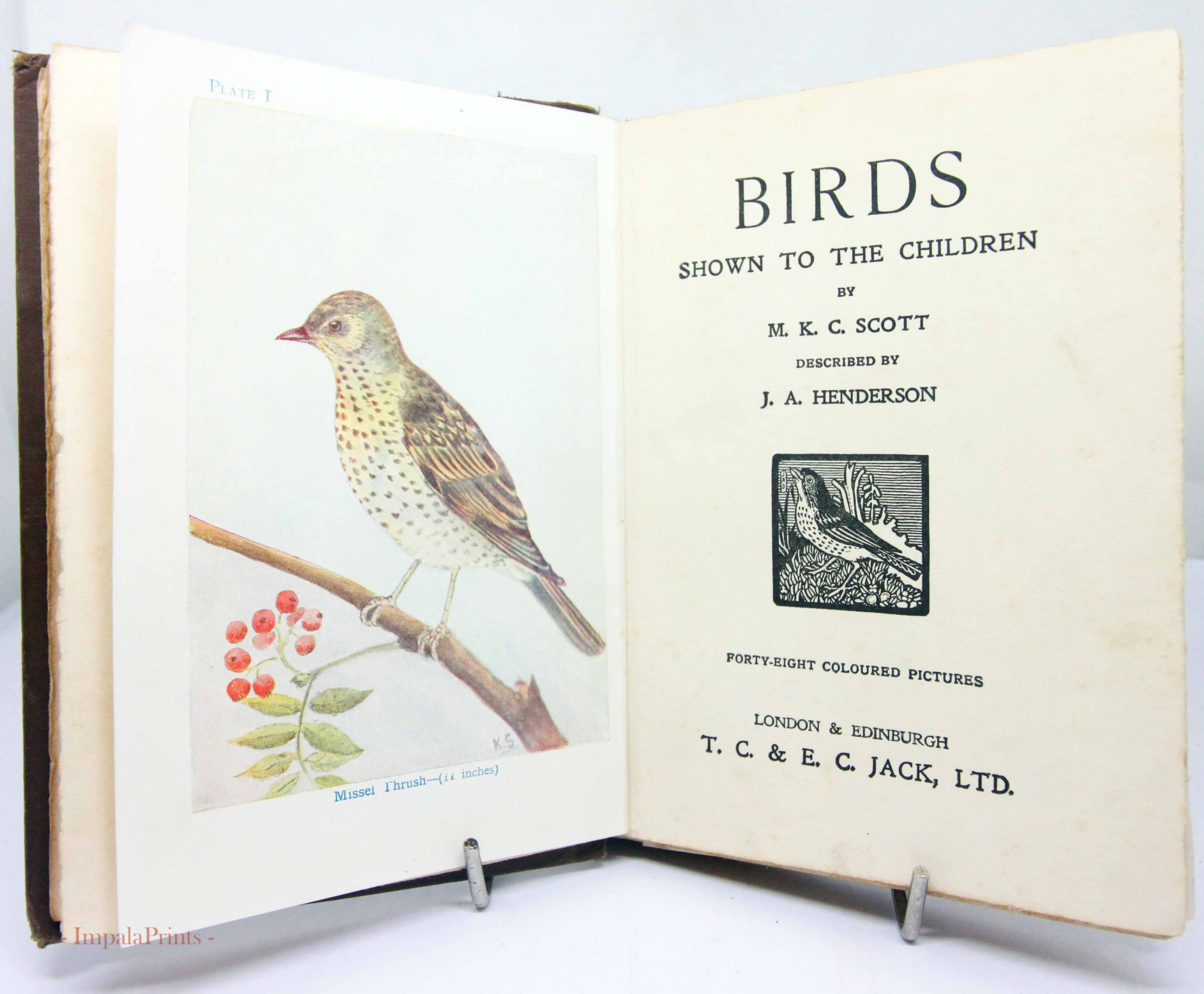 Illustrated Bird book 1920 Antique Vintage children's Ornithology Hardback Natur