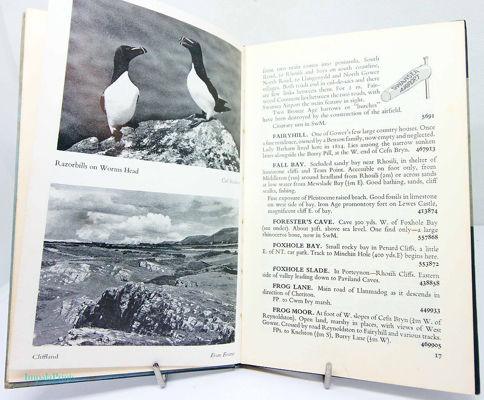 Thumbnail: Guide to Gower 1965 Vintage Book by A J Lavender, Illustrated South Wales Travel