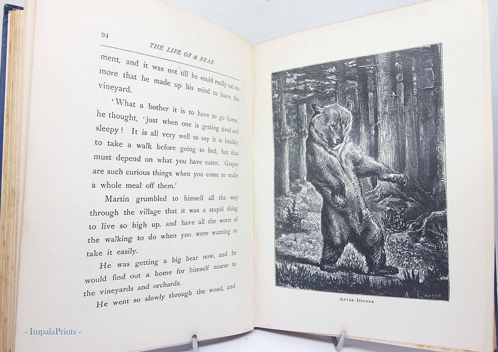 The Life of a Bear (1901) – Illustrated Antique Children’s Nature Study Book, Bl