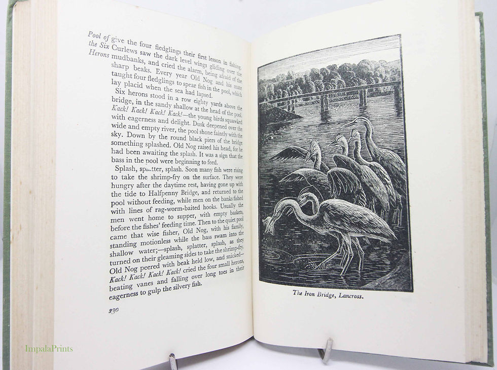 Thumbnail: Tarka The Otter 1941 Vintage Children’s Book | Devon Nature Story | Animal Adven