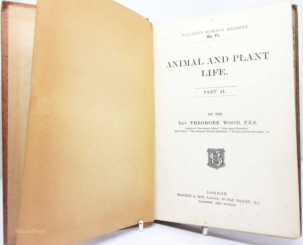 Thumbnail: Antique Animal and Plant Life Book by Theodore Wood | Illustrated Natural Histor