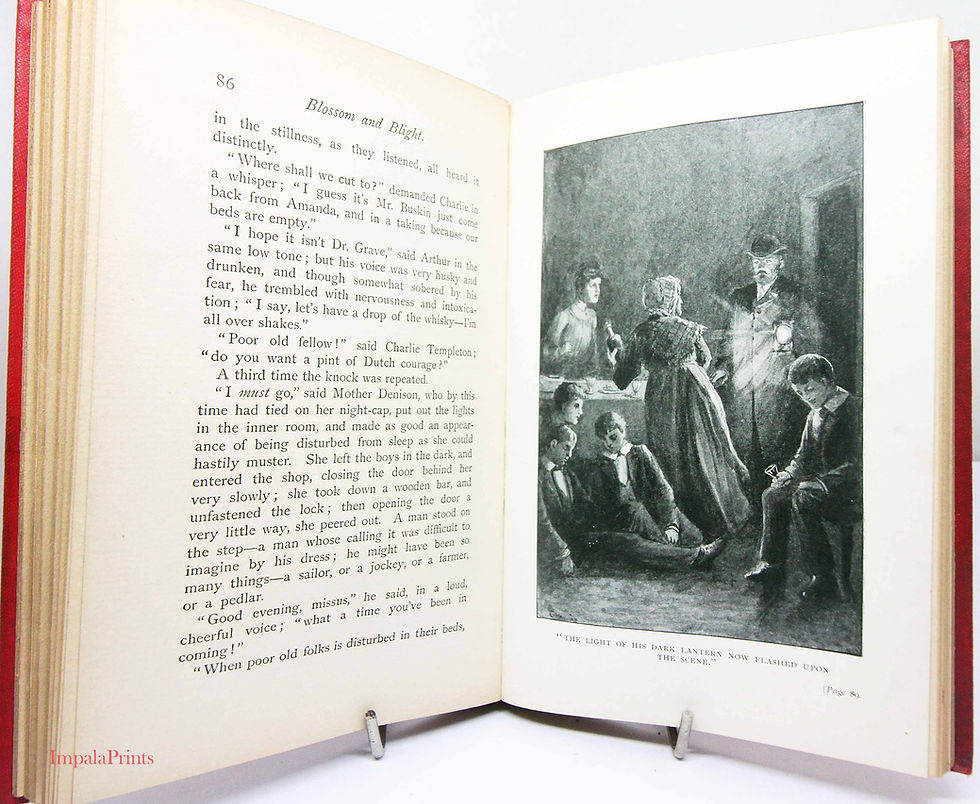 Thumbnail: Blossom & blight Antique Children’s Book | Illustrated Vintage Hardback Story Bo